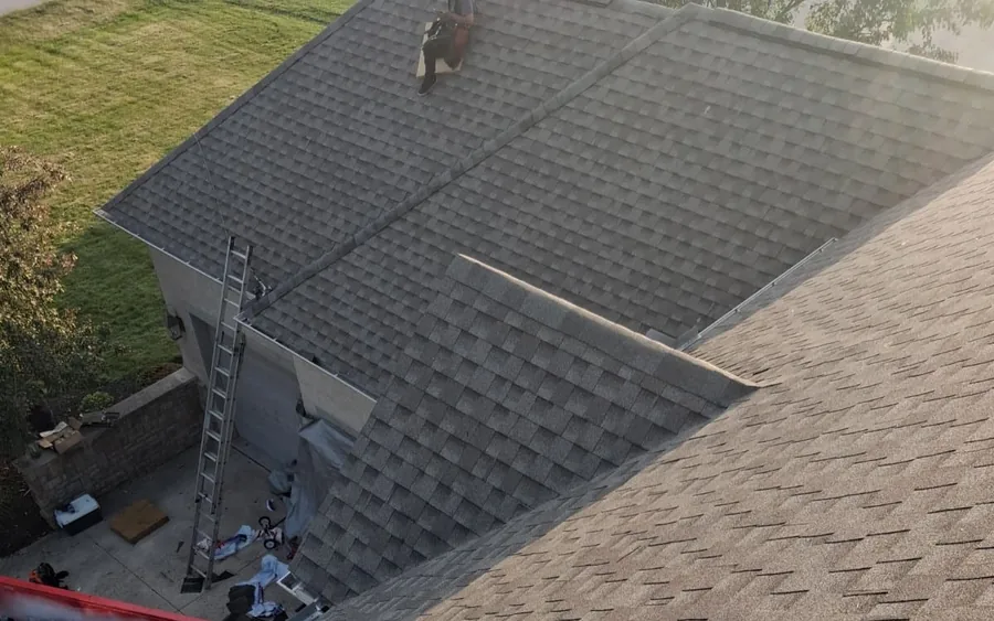 Multiple roof slopes with new architectural shingles installed, a roofer still working near the ridge of one section, and a ladder against the wall below.